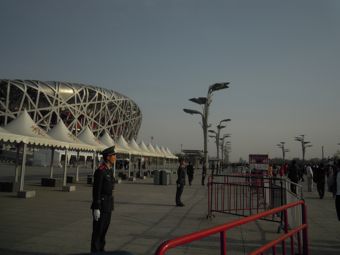 1204181.jpg
