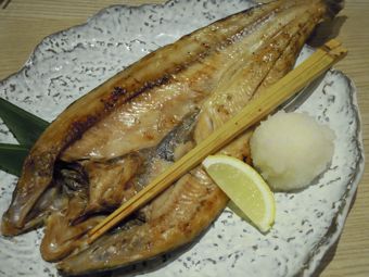 1307246.jpg